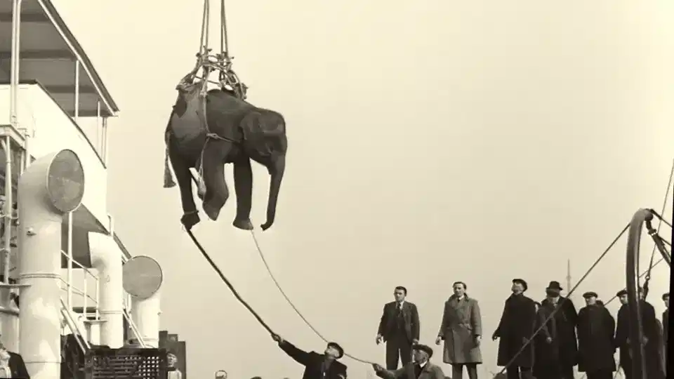 «Σάουντρακ για Ένα Πραξικόπημα» και μια καθηλωτική σειρά από τον Τόμας Βίντερμπεργκ