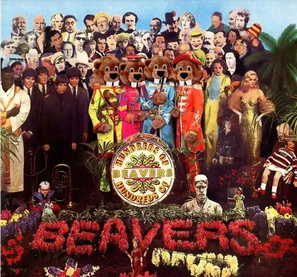 https://www.instagram.com/hundredsofbeavers/p/DFKohiFJnIo/?hl=el