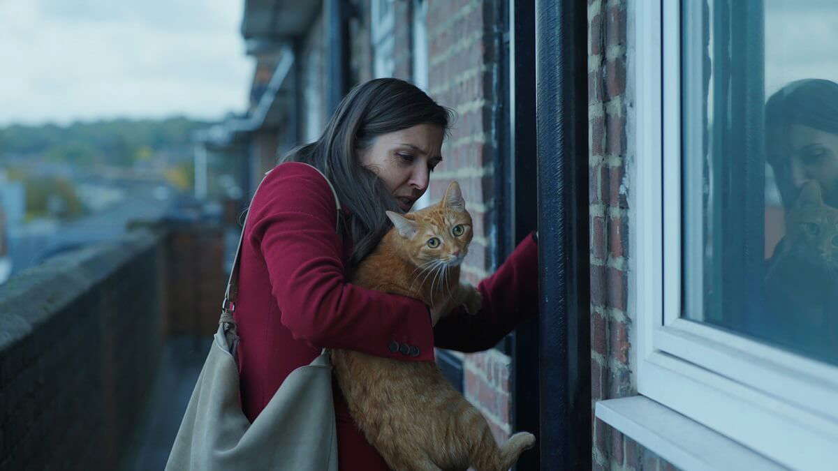 Cat in the Wall