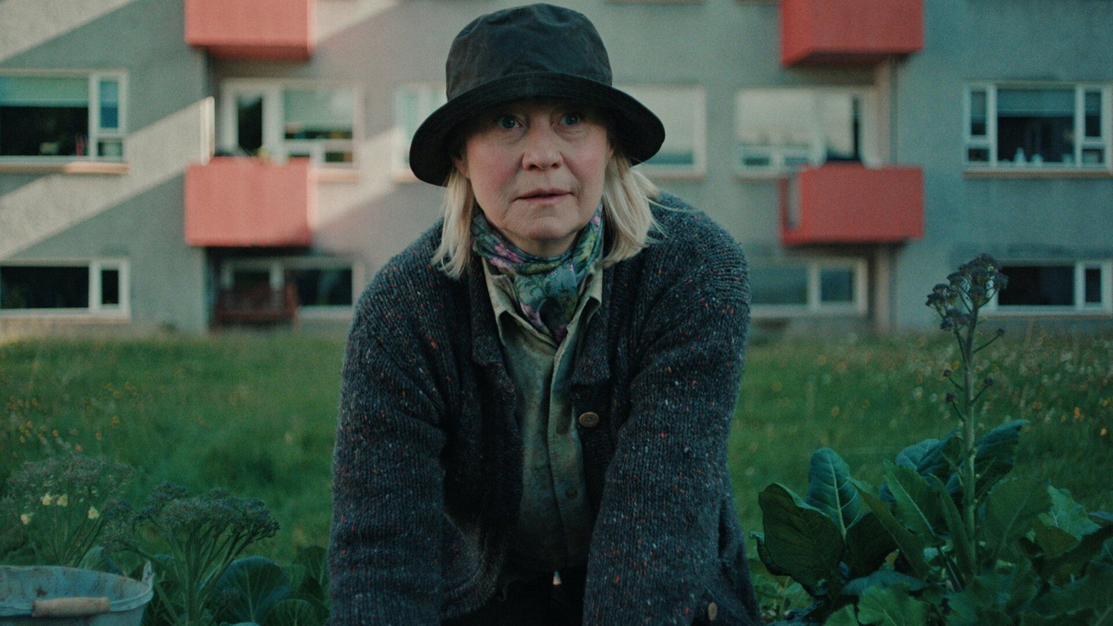 DANISH WOMAN EPISODES CLEAN.jpg