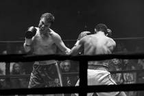 Day of the Fight