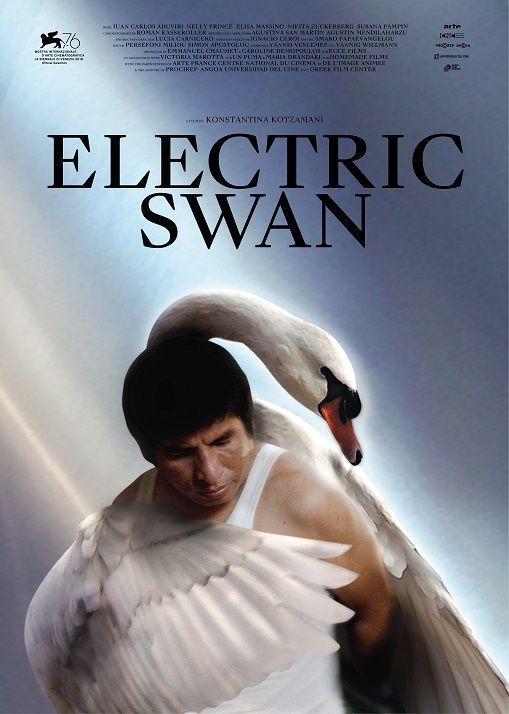 ELECTRIC SWAN- new.jpg