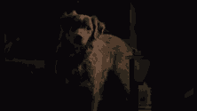 Good Boy