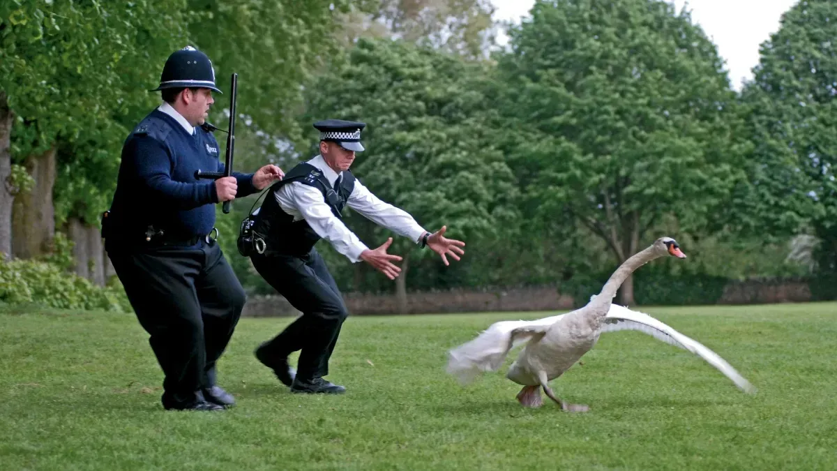 Hot-Fuzz-Photos-056PHOTO-jpg.webp