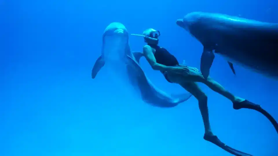Ο Λευτέρης Χαρίτος μιλάει στο Cinobo για το «Dolphin Man»