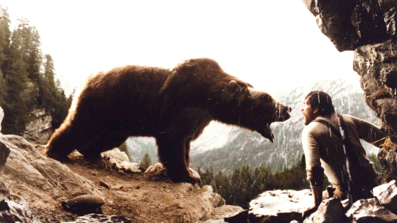 THE_BEAR.jpg