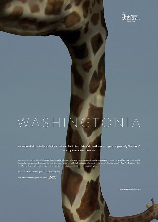 en-washingtonia.jpg