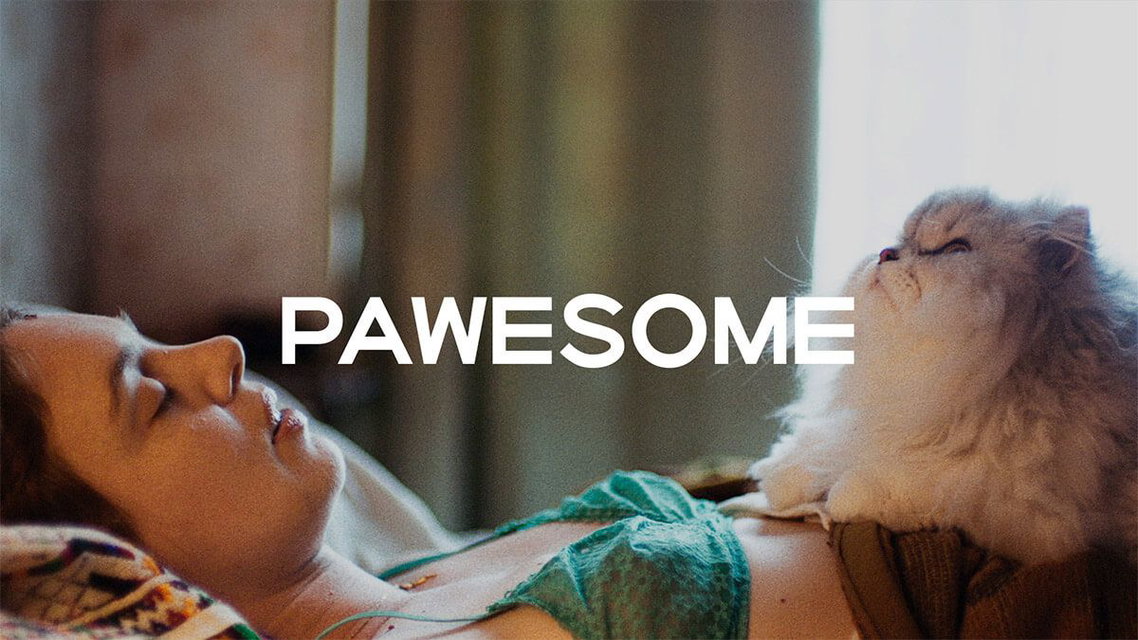 PAWesome: Ο κόσμος μέσα από τα μάτια των ζώων